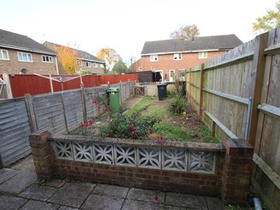 Picture 11